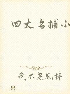 四大名捕小说