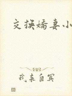交换娇妻小说