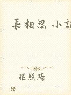 长相思 小说