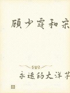 顾少霆和宋斯曼封面
