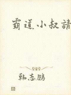 霸道小叔请轻撩封面