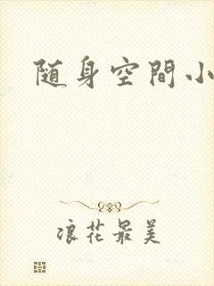 随身空间小说