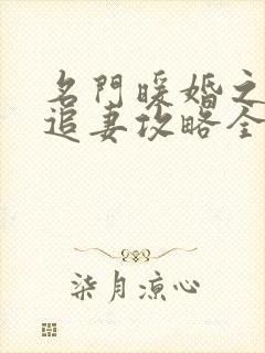 名门暖婚之权爷追妻攻略全文免费阅读