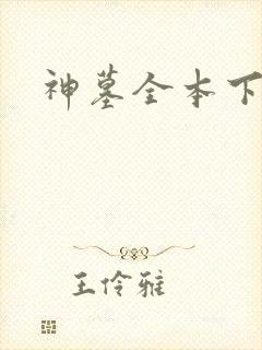 神墓全本下载封面