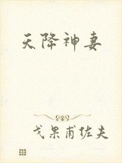 天降神妻