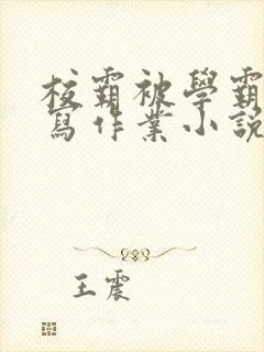 校霸被学霸压着写作业小说封面