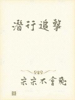 潜行追击