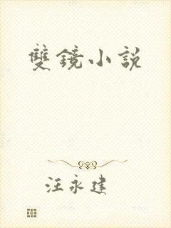 双镜小说