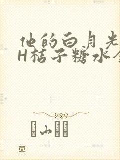 他的白月光HVH桔子糖水全文