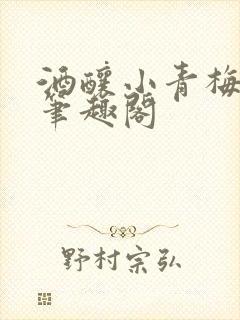 酒酿小青梅po笔趣阁封面
