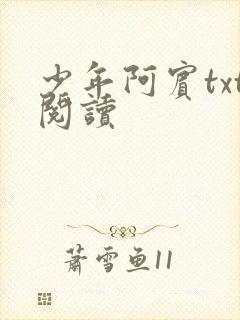 少年阿宾txt阅读