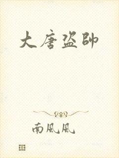 大唐盗帅