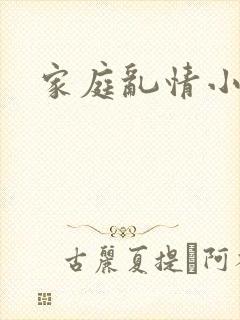 家庭乱情小说