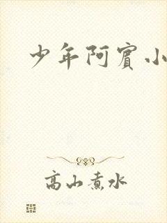 少年阿宾小说