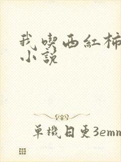 我吃西红柿全部小说