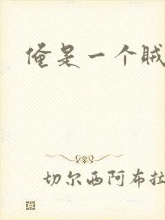 俺是一个贼