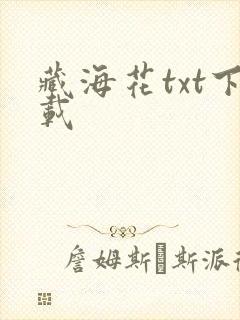 藏海花txt下载封面
