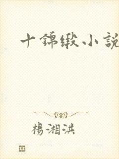 十锦缎小说封面