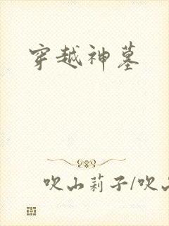 穿越神墓封面