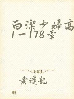 白洁少妇高义第1一178章