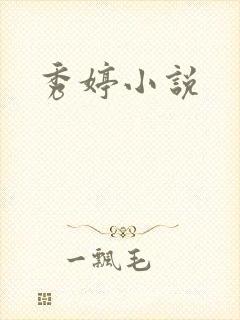 秀婷小说封面