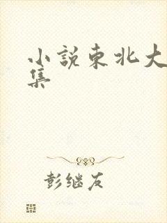 小说东北大炕全集