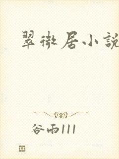 翠微居小说
