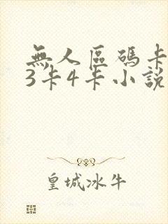 无人区码卡二卡3卡4卡小说封面