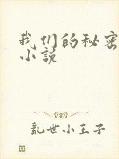 我们的秘密泰剧小说