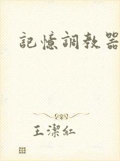 记忆调教器