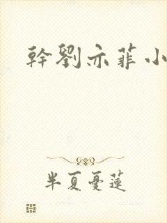 干刘亦菲小说