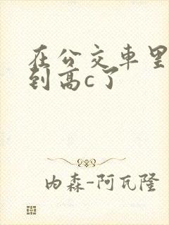 在公交车里c弄到高c了