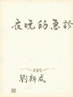 夜晚的急诊室2
