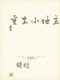 重生小地主txt封面