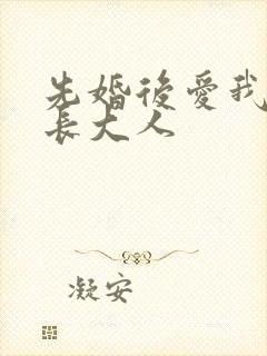 先婚后爱我的市长大人