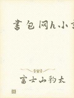 书包网h小说