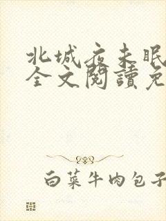 北城夜未眠小说全文阅读免费封面