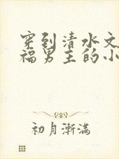 穿到清水文里造福男主的小说