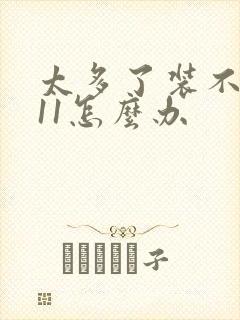 太多了装不下h11怎么办封面