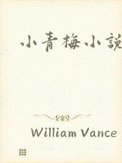 小青梅小说封面