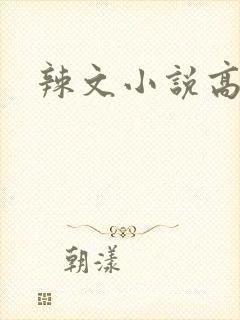 辣文小说高h封面