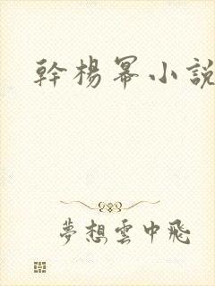 干杨幂小说