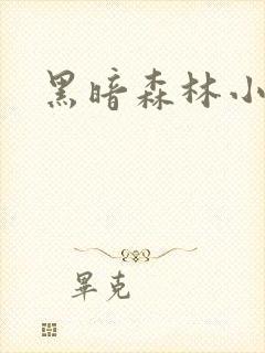 黑暗森林小说封面