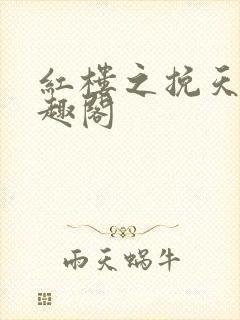 红楼之挽天倾笔趣阁