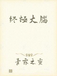 终极大脑