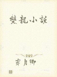 双龙小说