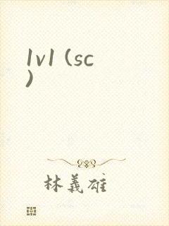 1v1 (sc)