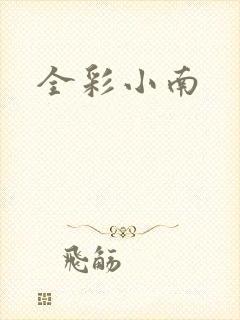 全彩小南封面