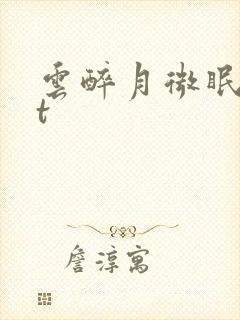 云醉月微眠txt封面