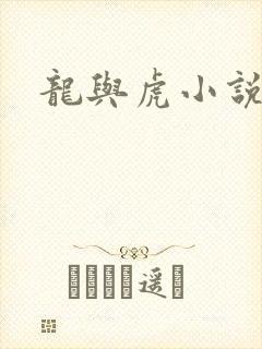 龙与虎小说